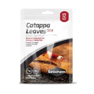 Hojas de almendro Catappa Leaves SM Seachem