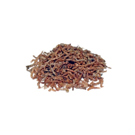 Alimento Peces Bloodworm Premium 250ml 30 grs Prodac - Imagen 2