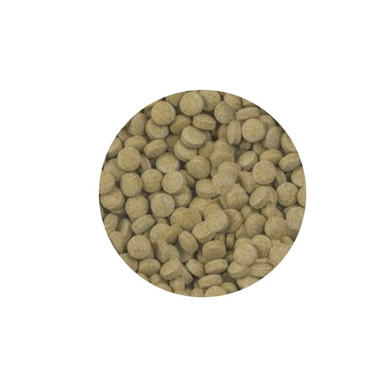 Sera Viformo Nature 160 grs / 700 pastillas - Imagen 2